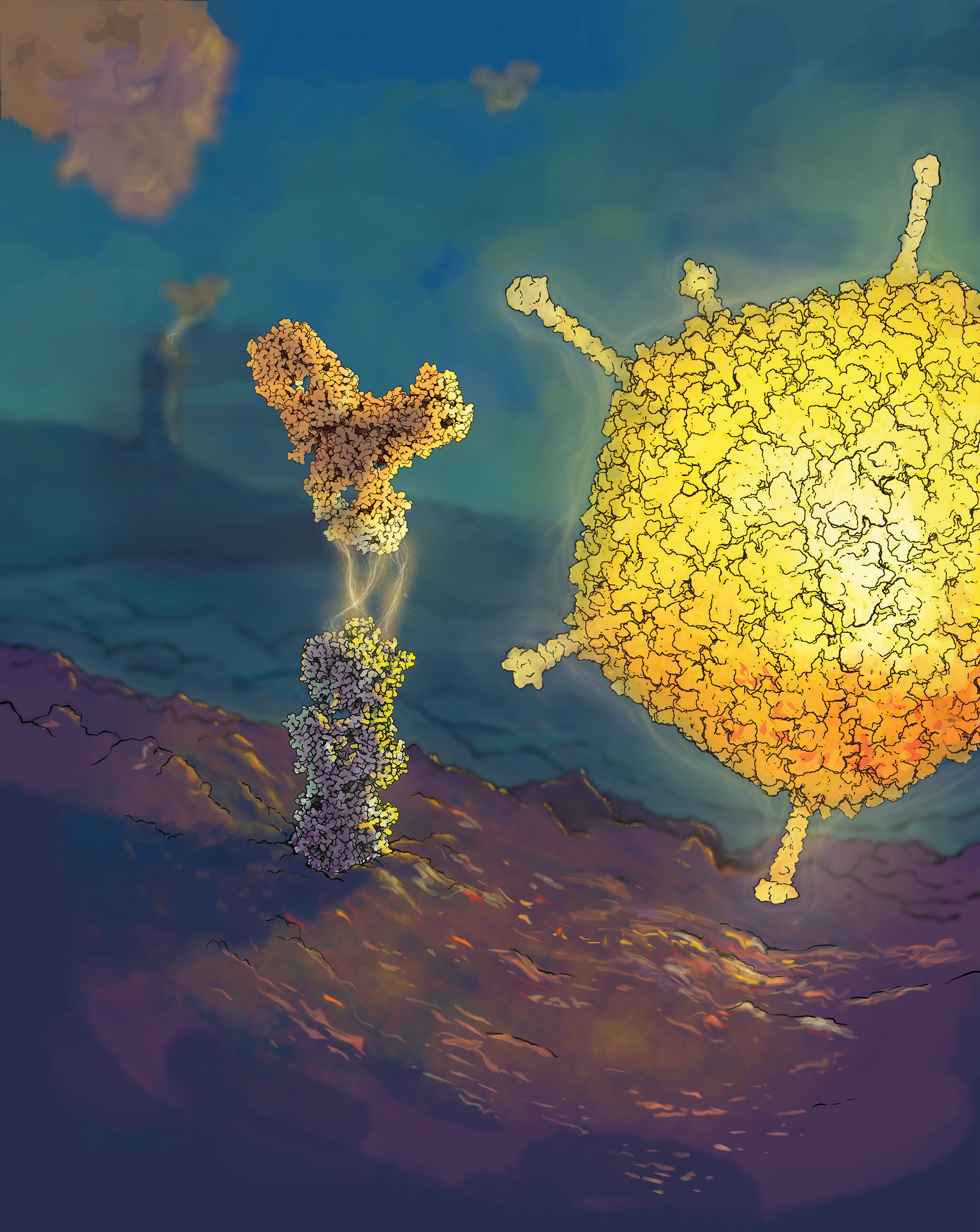 illustration.png